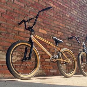 Meet your Posher, Jackson